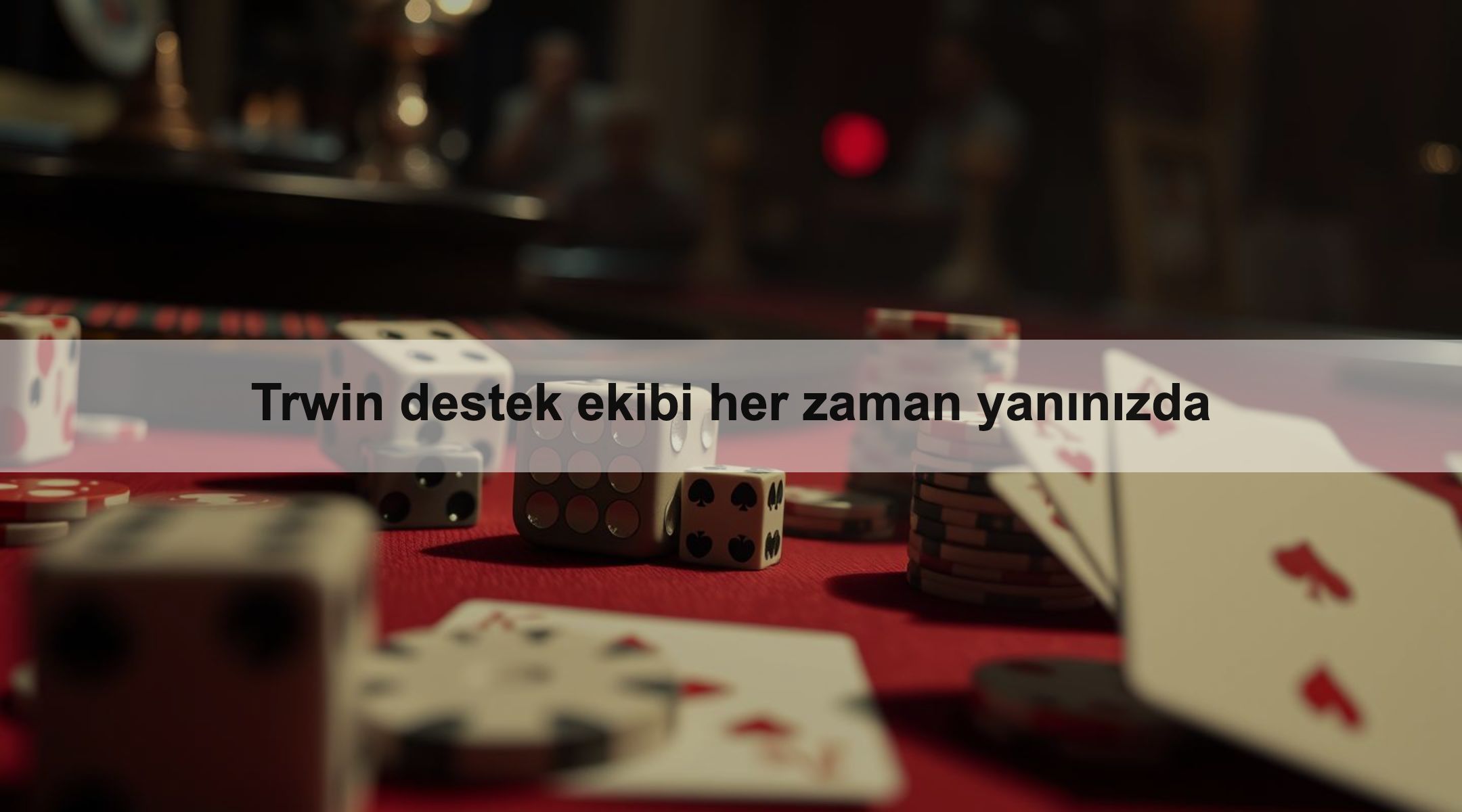 Trwin destek ekibi her zaman yanınızda 1 Trwin destek ekibi her zaman yanınızda